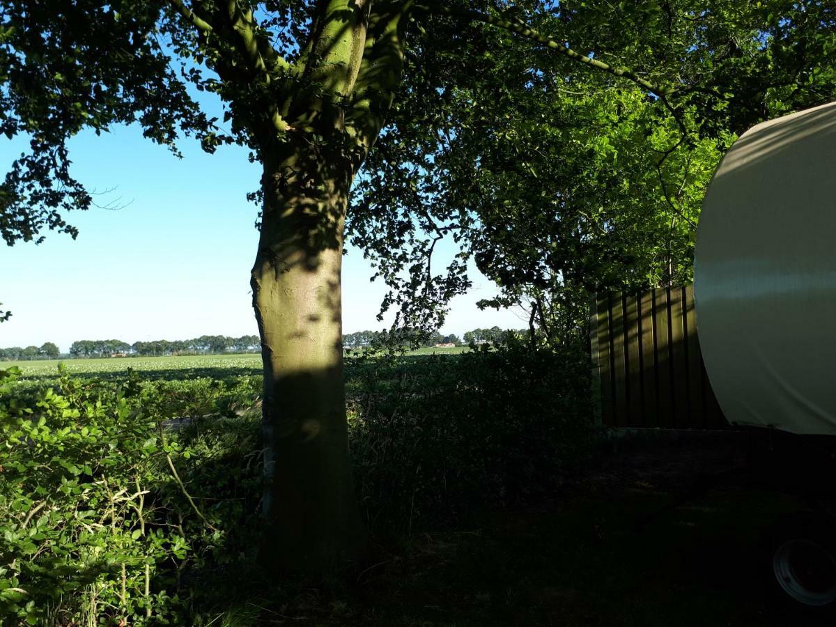 Irish Bowtop Op Het Platteland Van Huize Ouwervelden Wouwsche Plantage Eksteriør billede